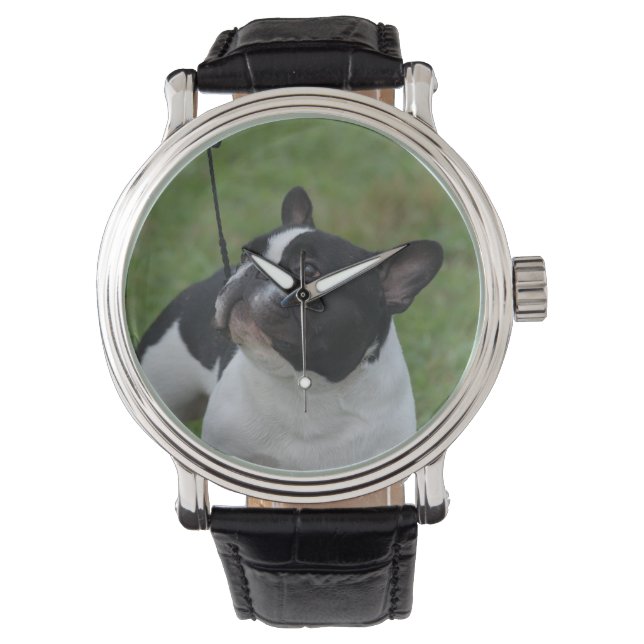 Black and White French Bulldog Watch (Front)