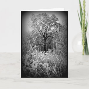 Black And White Frosty Winter Scene All Occasion Card