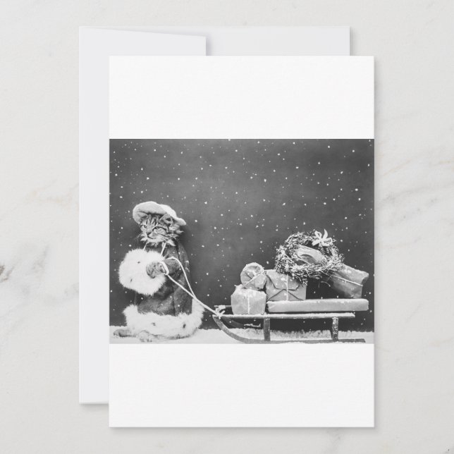 Black and White Funny Cat Christmas Card (Front)