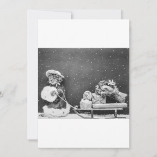 Black and White Funny Cat Christmas Card