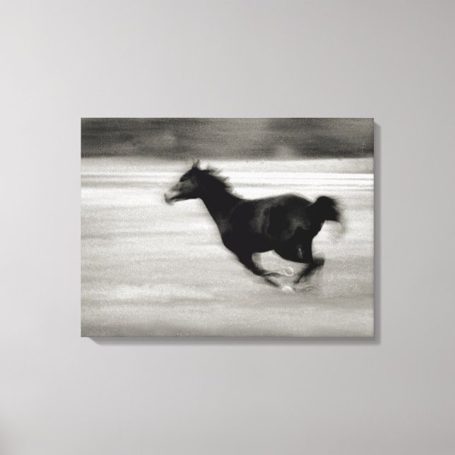 Black and White Galloping Horse Canvas Print (Front)