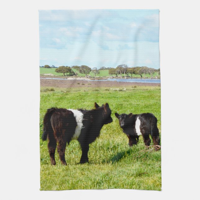 Black And White Galloway Calves, Tea Towel (Vertical)