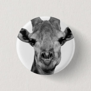 Black and White Giraffe Photograph 3 Cm Round Badge