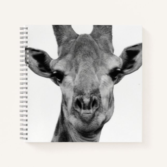 Black and White Giraffe Photograph Notebook (Front)