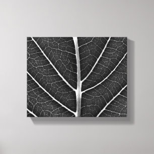 Black and white glowing leaf close-up canvas print