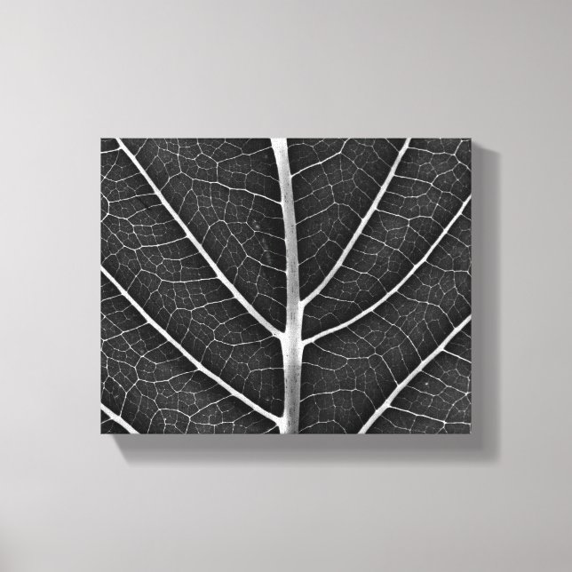 Black and white glowing leaf close-up canvas print (Front)