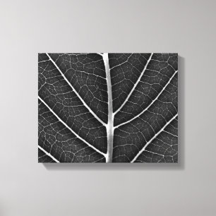 Black and white glowing leaf close-up canvas print