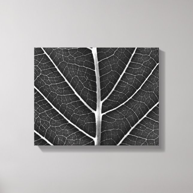 Black and white glowing leaf close-up canvas print (Front)