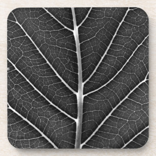 Black and White Glowing Leaf Close-Up Coaster