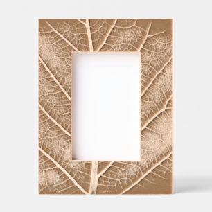 Black and white glowing leaf close-up etched frames