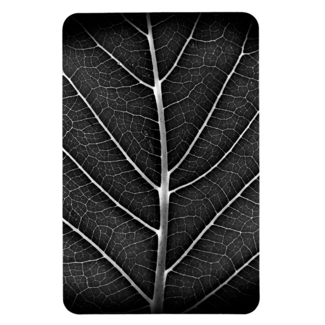 Black and white glowing leaf close-up magnet (Vertical)