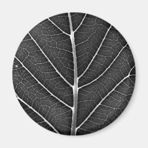 Black and white glowing leaf close-up magnet