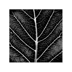Black and white glowing leaf close-up self-inking stamp