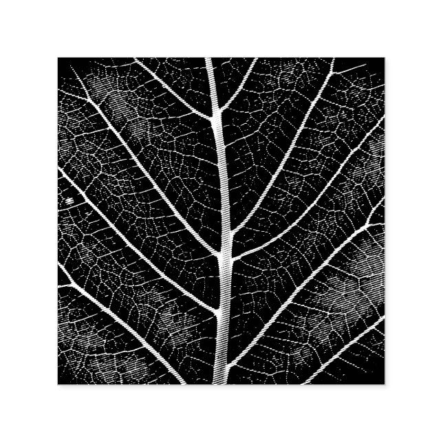 Black and white glowing leaf close-up self-inking stamp (Design)