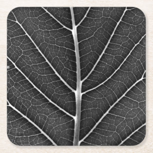 Black and White Glowing Leaf Close-Up Square Paper Coaster