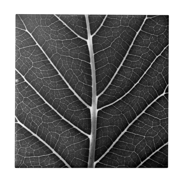 Black and white glowing leaf close-up tile (Front)