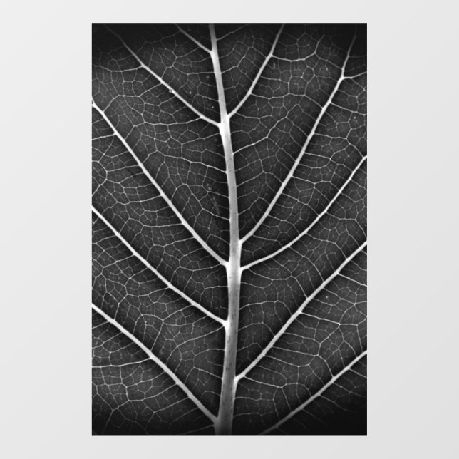 Black and white glowing leaf close-up window cling (Sheet)