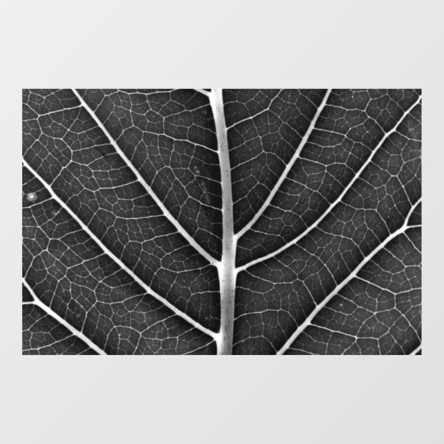 Black and white glowing leaf close-up window cling (Sheet)