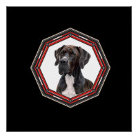 Black And White Great Dane In A Red Frame