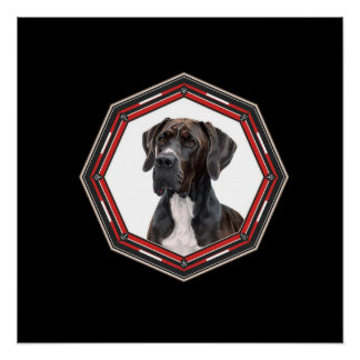 Black And White Great Dane In A Red Frame Poster