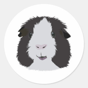 Black and White Guinea Pig Classic Round Sticker