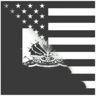 Black And White Haitian American Flag   Haiti USA