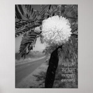 Black And White Hawaiian Flower Poem Poster
