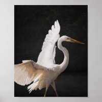 Black and White Heron Tropical Printable Art 