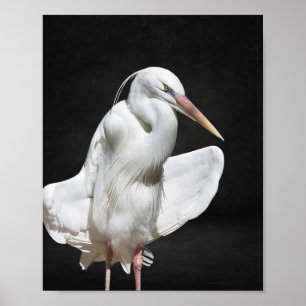 Black and White Heron Tropical Printable Art  Poster