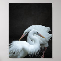 Black and White Heron Tropical Printable Art 