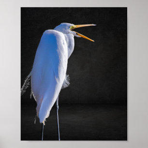 Black and White Heron Tropical Printable Art  Poster