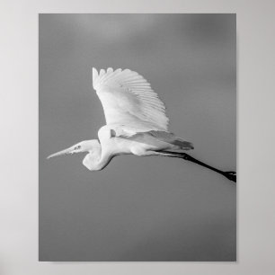 Black and White Heron Tropical Printable Art  Poster