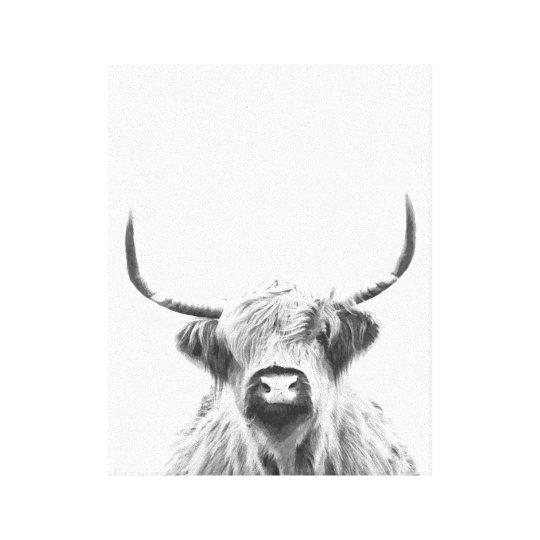 Black and White Highland Cow Canvas Print Zazzle.co.uk