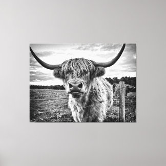 Black and White Highland Cow Canvas Print