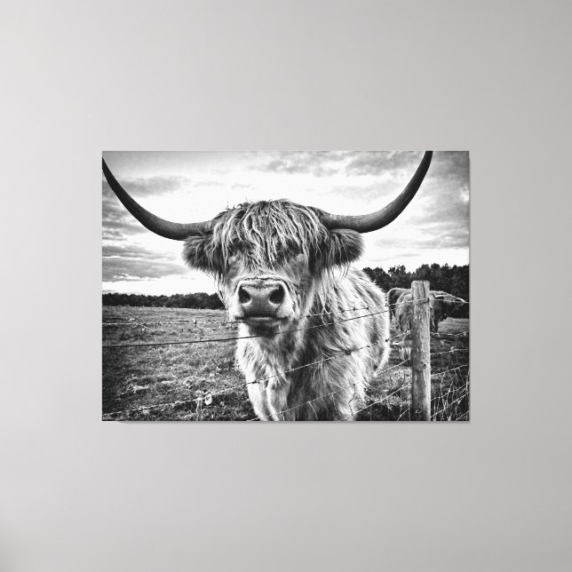 Black and White Highland Cow Canvas Print (Front)
