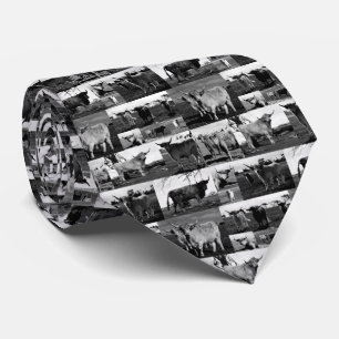 Black And White Highland Cow Photography Collarge, Tie