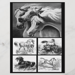 Black and White Horse Art for Paper Crafting 