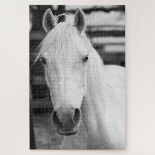 Black and White Horse Photography Jigsaw Puzzle