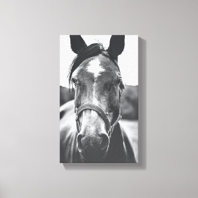 Black and White Horse Portrait Photo Canvas Print (Front)