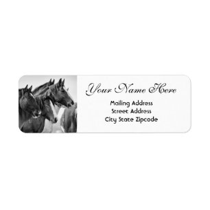 Black and White Horses Return Address Label