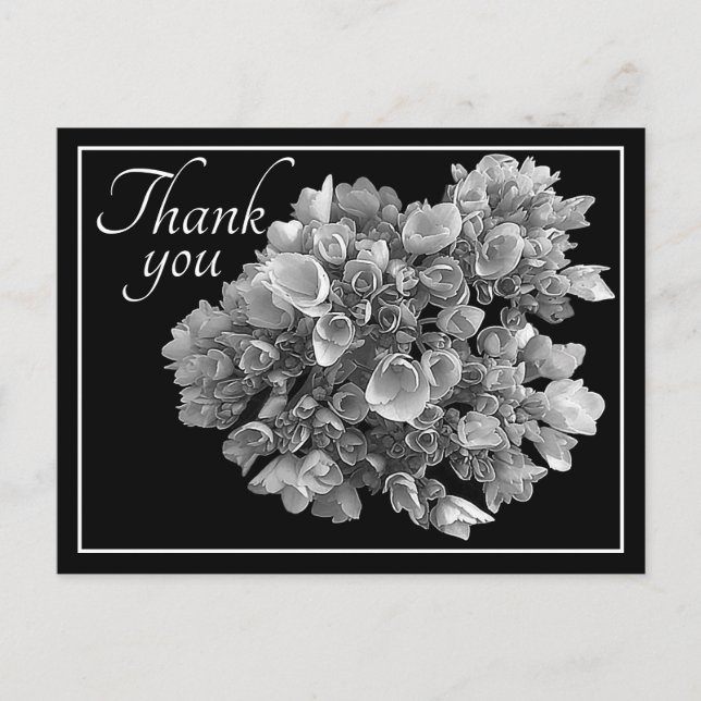 Black and White Hydrangea Bouquet Thank You Postcard (Front)