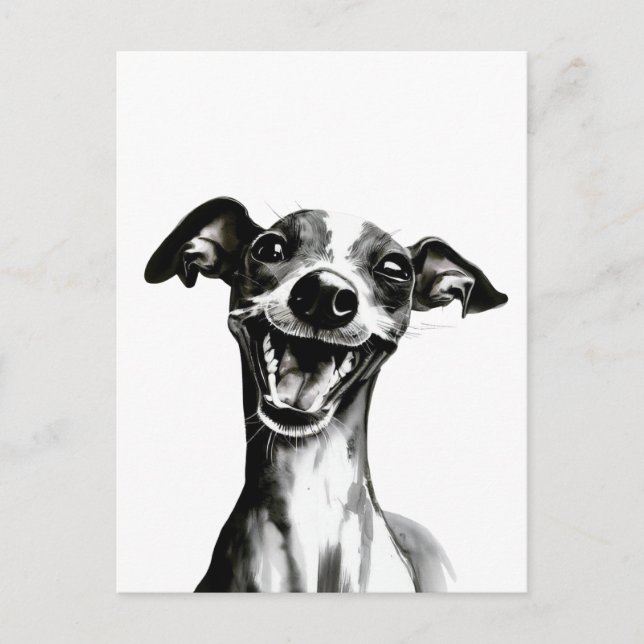 Black and white Iggy | Cute Italian Greyhound Postcard (Front)