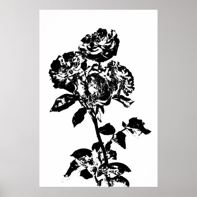 Black and White Illustrated Roses Art Poster (Front)