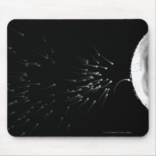 Black and white illustration of fertilisation mouse mat