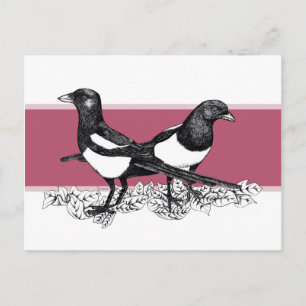 Black and white illustration of Magpies Postcard
