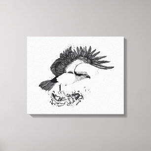 Black and white illustration of Osprey Canvas Print