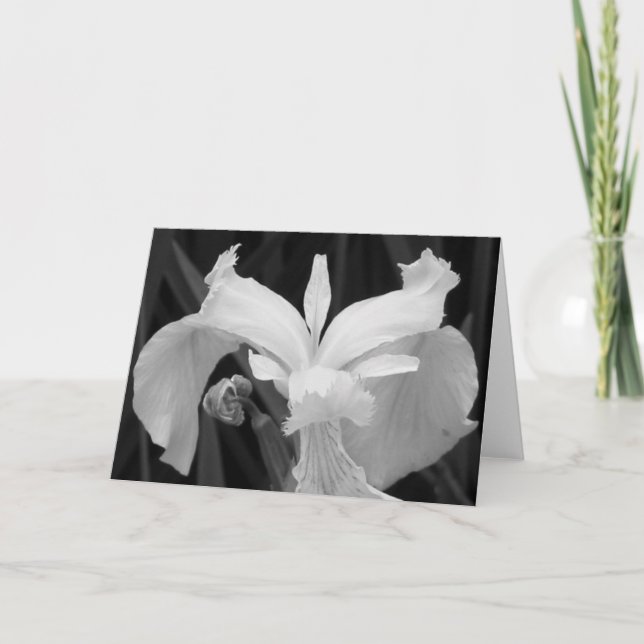 Black and White Iris Card (Front)