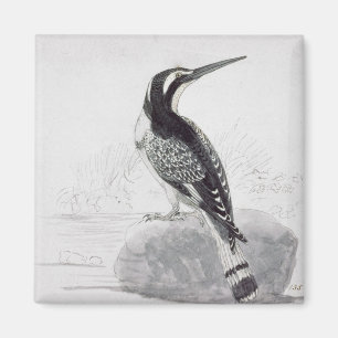 Black and White Kingfisher Magnet