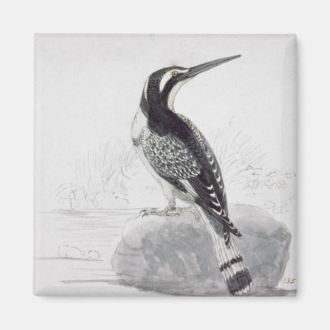 Black and White Kingfisher Magnet (Front)