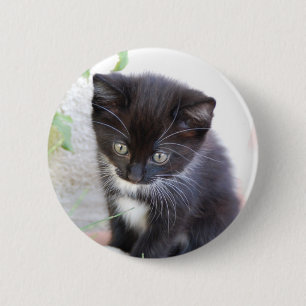 Black and White Kitten 6 Cm Round Badge